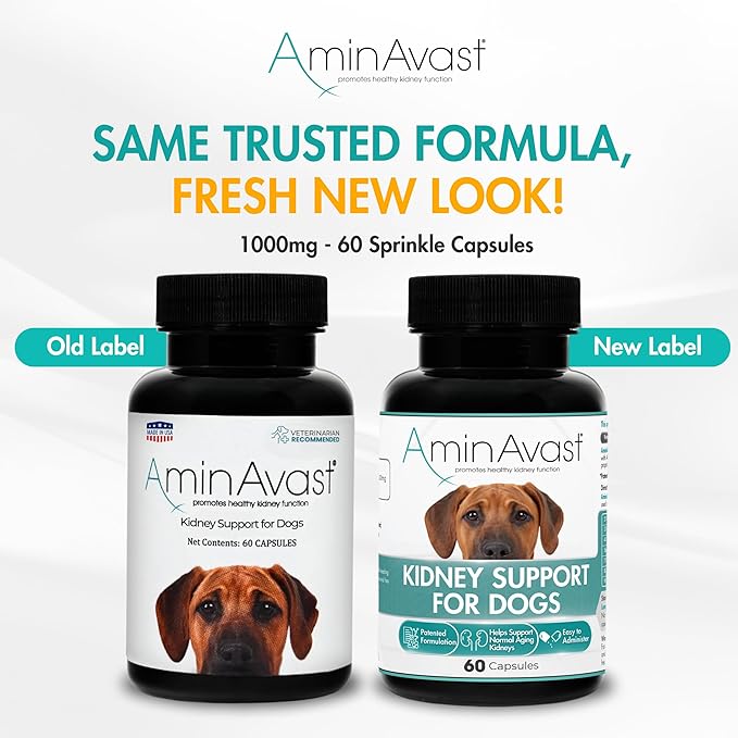 AminAvast Kidney Support Supplement for Dogs, 1000mg 3-Pack - Promotes Natural Kidney Function - Aids in Health and Vitality of Aging Kidneys - Easily Administered - 60 Sprinkle Capsules