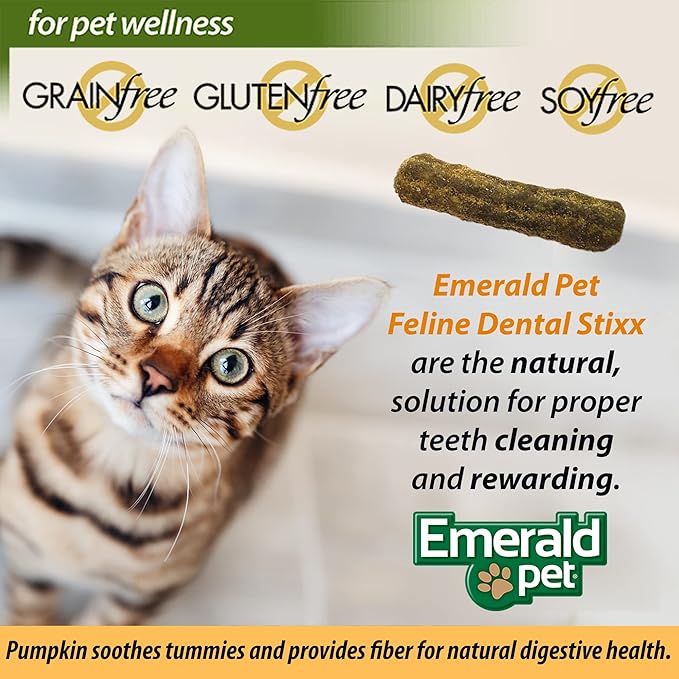 Emerald Pet Feline Dental Stixx — Tasty and Crunchy Cat Sticks with Pumpkin for Digestive Health — Natural Grain Free Dental Treats for Clean Teeth and Fresh Breath — Salmon, 3.6 oz