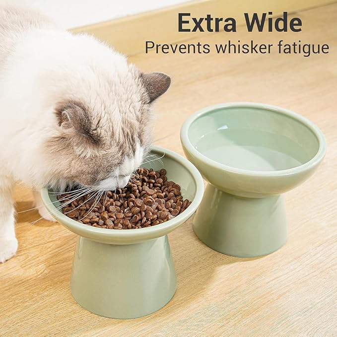 2 Elevated Ceramic Cat Bowls Extra Wide for Food & Water – Whisker Fatigue Shallow Food Dish, Lead & Cadmium-Free, Raised Height for Cats, Sage Green