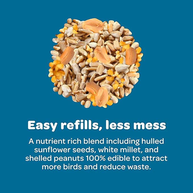 Kaytee Smart & Small Feeder Refill, Ideal Wild Bird Food for Smart Feeders, 2 Pounds, 6 Count