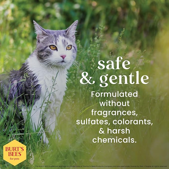 BURT'S BEES FOR PETS Waterless Cat Shampoo Spray, No-Rinse Cat Dry Shampoo with Shea Butter & Honey for Gentle Cleaning Between Baths, pH Balanced, No Harsh Detergents, 10 Fl Oz - 2 Pack