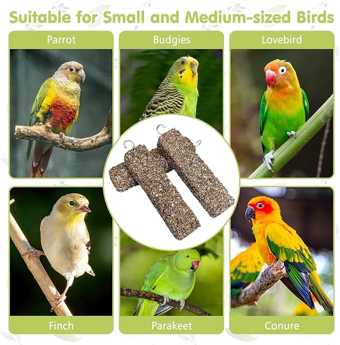PINVNBY 12 PCS Parakeet Treats Natural Minerals Parrot Treat Sticks Calcium Cockatiel Snacks Hanging Bird Chewing Toy for Budgies Conurus Lovebirds Finches