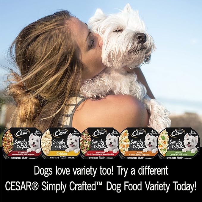 Cesar Simply Crafted Adult Wet Dog Food Toppers for Dry Food, Chicken, 1.3 oz Tubs, 24 Count (Pack of 2)