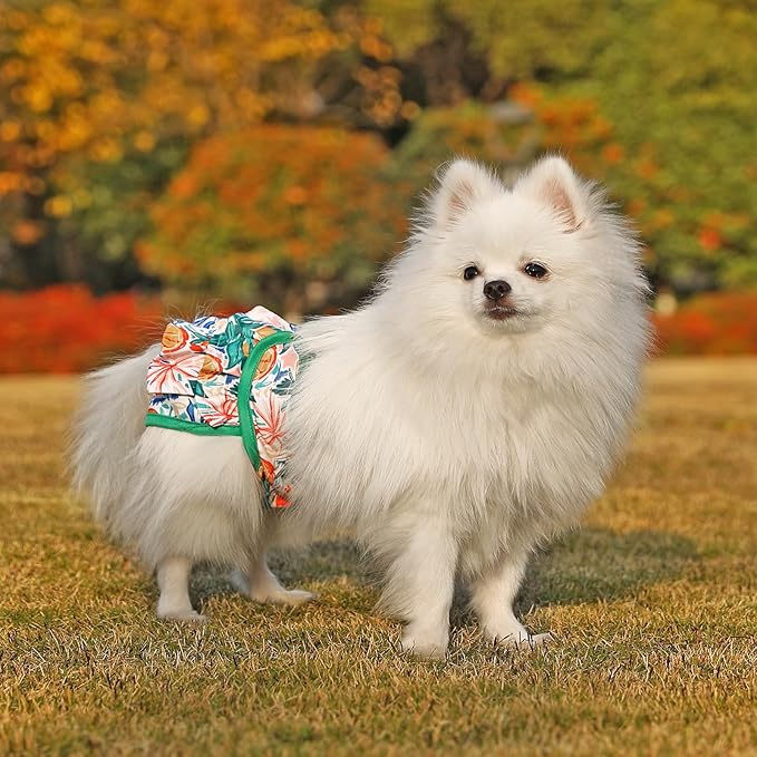 Dog Diapers Female Washable (3 Pack), Dog Period Diapers Female Doggie Diapers Puppy Diapers Highly Absorbent Female Dog Diapers for Heat, Incontinence, Excitable Urination,L