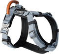 MADE TO ROAM Premium Explorer Harness - Y-Shaped Dog Harness with Adjustable Durable Nylon, Soft Padding, Metal Buckles and Leather Handle for Small, Medium, Large Dogs (Virginia Mountains, Size 3)
