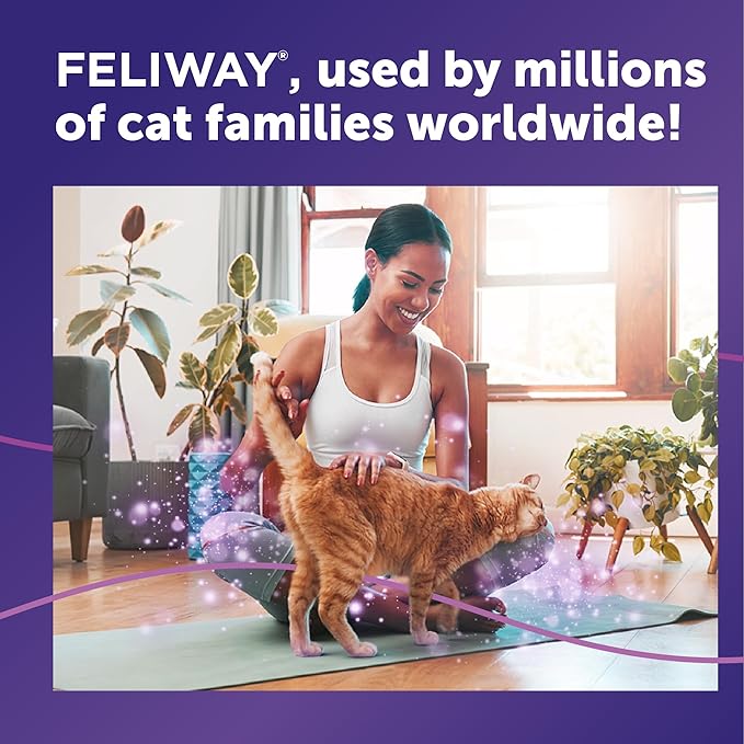 FELIWAY® Classic 3 x 30 Day Cat Calming Refills for Pheromone Diffuser, 3 x 48ml Value Pack - Helps Reduce Common Signs of Stress in Cats & Kittens, Enhanced Calming