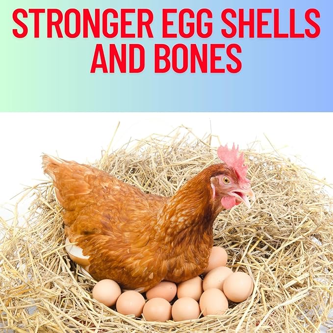 Pure Oyster Shells Minerals, High Calcium Supplement, Designed to Promote Strong Bones, Better Digestion, and Overall Well-Being for Pigeons, Small Cage Birds, Duck and Chickens 3 Pounds Bag