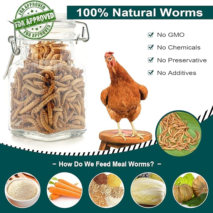 44LB Non-GMO Dried Mealworms, 100% Natural Large Size No Moisture, Mealworms for Chickens, Birds, Hedgehog, Hamster, Fish, Reptile, Turtles
