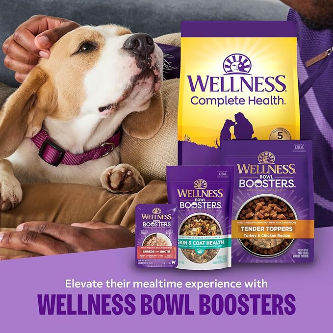 Wellness Complete Health Sensitive Skin and Stomach Dry Dog Food, Wholesome Grain Kibble, Natural, Chicken Free, Salmon and Rice Recipe, 38 lb Bag