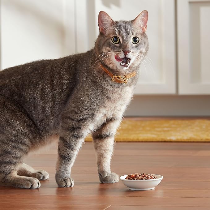 Meow Mix Tenders in Sauce Wet Cat Food, Tuna & Shrimp, 2.75 Ounce Cup (Pack of 12)