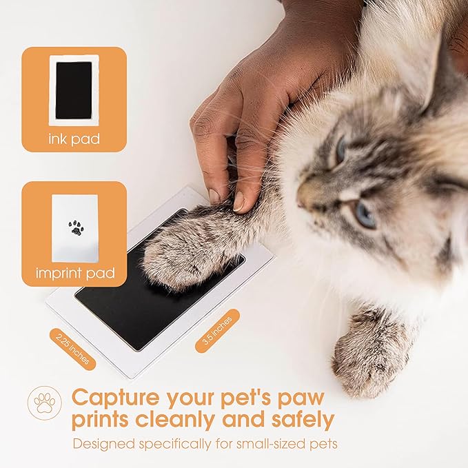 Pearhead Paw Print Clean-Touch Ink Pad, Mess Free Inkless Pet Impression Kit, Safe for Cats and Dogs, Pawprint Keepsake, Pack of 2