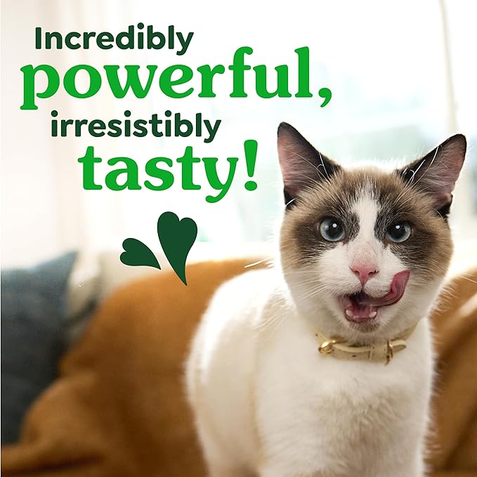 Greenies Cat Treats, Feline Veterinarian-Recommended Adult Natural Dental Cat Treats, Oven Roasted Chicken Flavor, 2.1 oz. Pouch