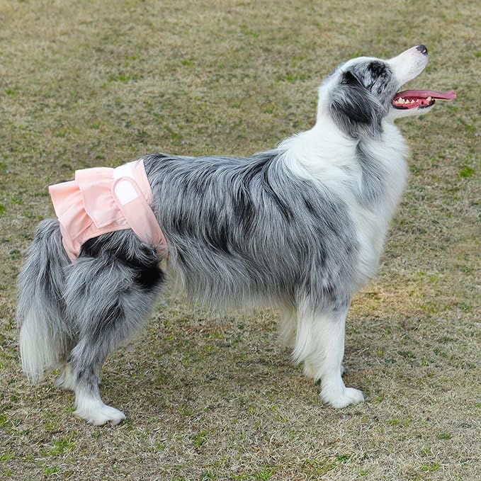 Reusable Dog Diapers Female 3 Pack Washable Highly Absorbent Doggie Diapers, Flexible Doggy Diapers Female, Leak-Proof Puppy Diapers for Dog Period Heat Incontinence Potty Training, S