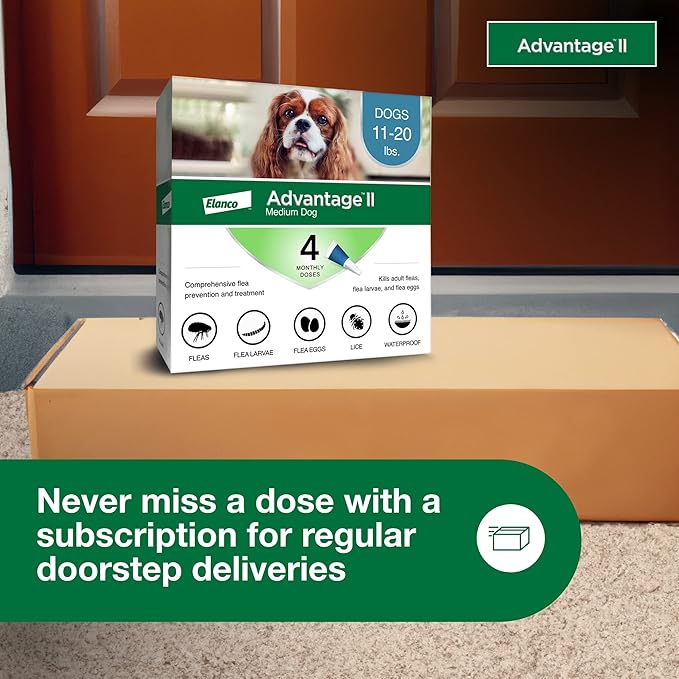 Advantage II Medium Dog, 4 pack