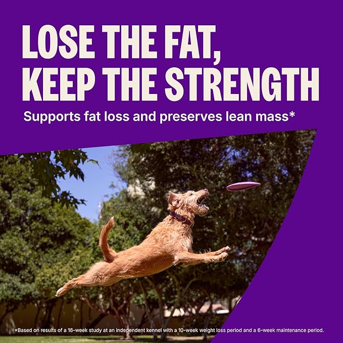 Wellness CORE Healthy Weight Small Breed Adult Dry Dog Food, Grain Free Kibble, Natural, High Protein, Turkey and Chicken Recipe, 12 lb Bag