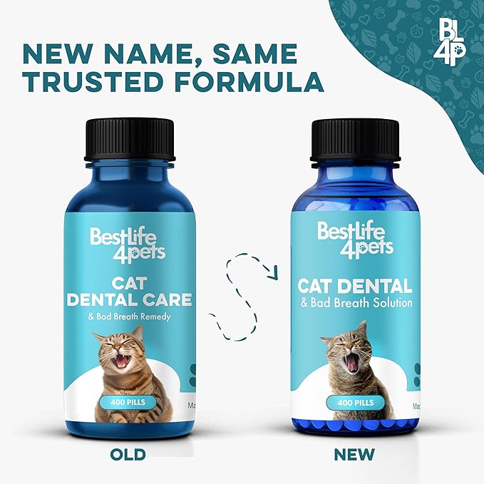 Cat Bad Breath & Oral Health Remedy, Natural Dental Care Cats Teeth, Mouth and Gums, Easy to Use Daily Supplement for Stomatitis, Gingivitis, Plaque & Tartar Control for Cats, 800 Small Pills