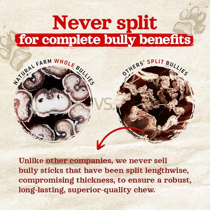 Natural Farm Odor-Free Bully Sticks (12 Inch, 12 Pack), 1.2 lbs. Per Bag, 100% Beef Pizzle Chews, Grass-Fed, Non-GMO, Fully Digestible Long Lasting Best Dental Treats to Keep Your Dogs Busy