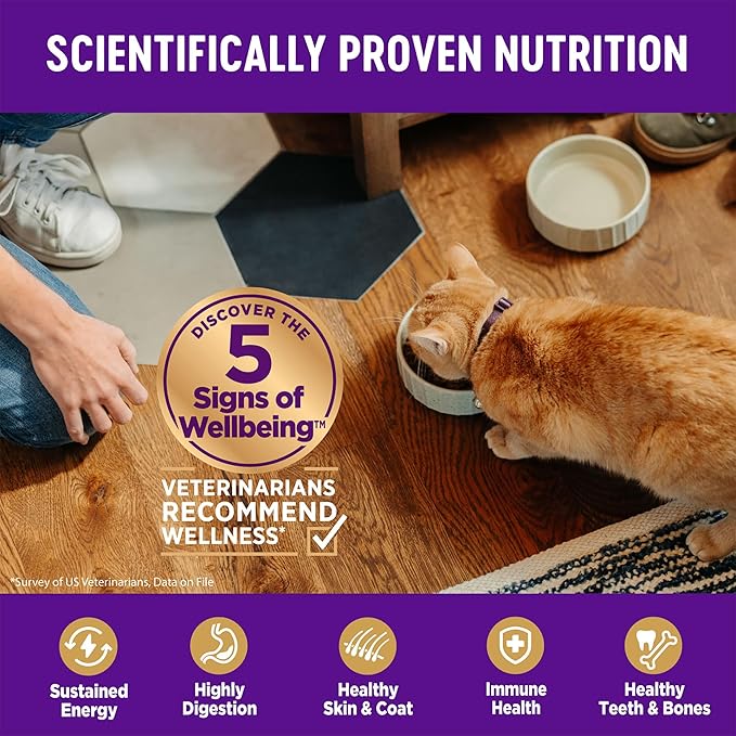 Wellness Complete Health Adult Dry Cat Food for Indoor and Outdoor Cats, Wholesome Grains, Natural, Chicken & Chicken Meal (5 Pound Bag)