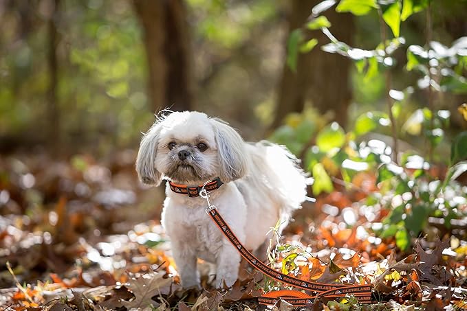 Pets First NFL Licensed Cleveland Browns 𝙿et Leash, Size Medium – Durable Satin Dog & Cat Walking Strap and Pet Tether with Embroidered Team Name & Logo