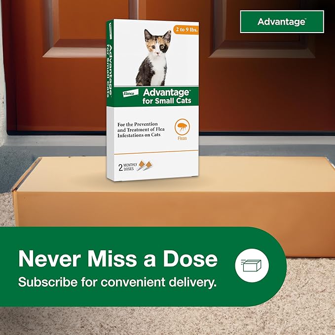 Advantage Topical Cat Flea Treatment and Prevention for Small Cats 2-9 lbs. | Apply Flea Drops Monthly | 2 Treatments (Pack of 3)