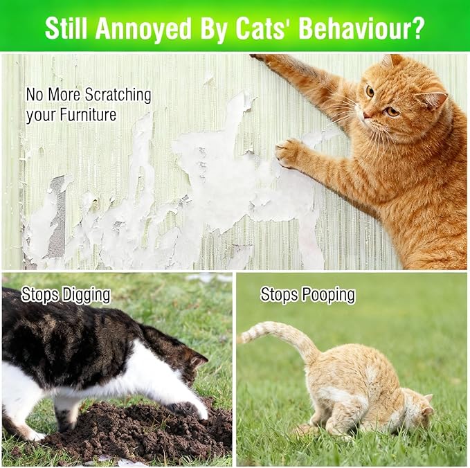 Natural Peppermint Oil Cat Deterrent Outdoor and Indoor, Keep Cats Permanently Out of Yard, Lawn, Garden, Furniture, Mulch & Flower,8 Pack（Green）