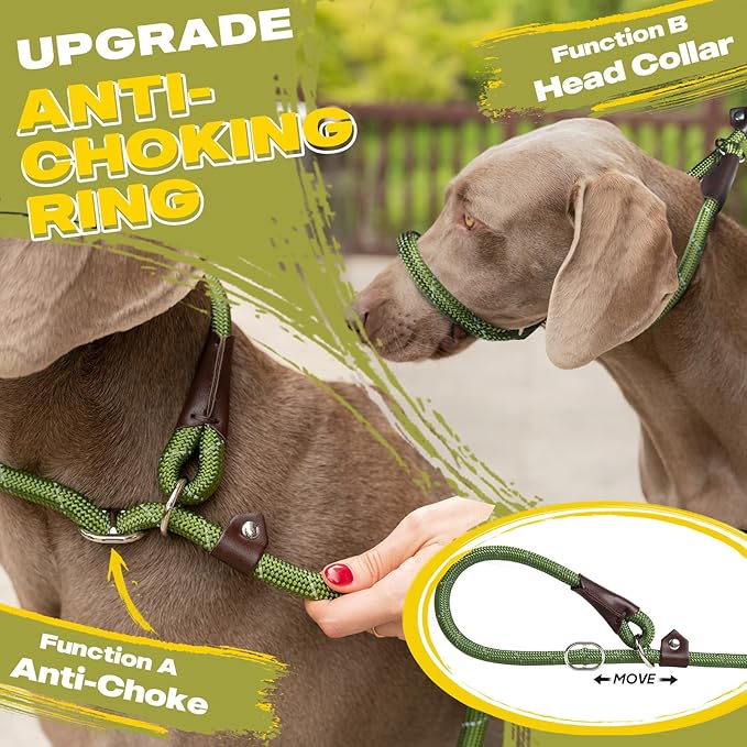 Fida Durable Slip Lead Dog Leash Bulk Pack of 5, Heavy Duty 1/2" x 6 FT Comfortable Strong Rope Slip Lead for Large, Medium & Small Dogs No Pulling Pet Training Leash with Highly Reflective (Mixed)