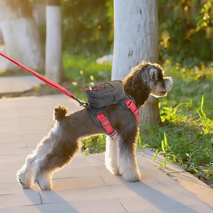 Dog Backpack Harness for Small and Medium Dogs, Adjustable Lightweight Carrier with Detachable Backpack and Leash, Water Resistant for Hiking, Training, and Daily Walks, M
