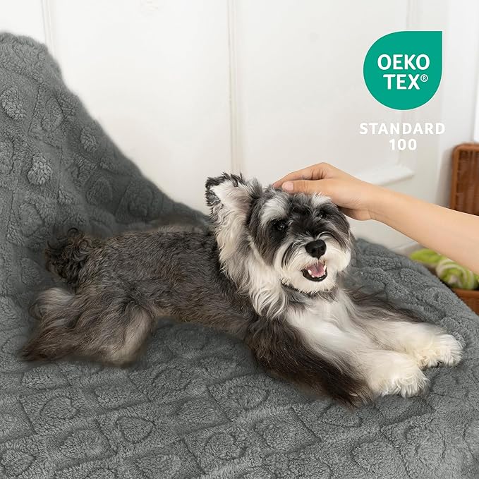 gogobunny Cozy Fleece Throw Blanket for Couch, 60x80 Inch Large Soft Blanket for Adults & Pets, 2-in-1 Machine Washable Lightweight Blanket for Bed, Travel, All Season Comfort (Anthracite, 60x80)