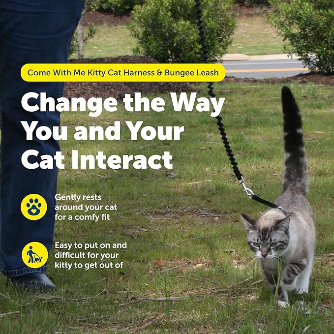 PetSafe Come With Me Kitty Cat Harness & Bungee Leash - Comfortable Cat Harness with Lightweight Bungee Leash for Outdoor Fun - More Secure Walks - Large - Lilac