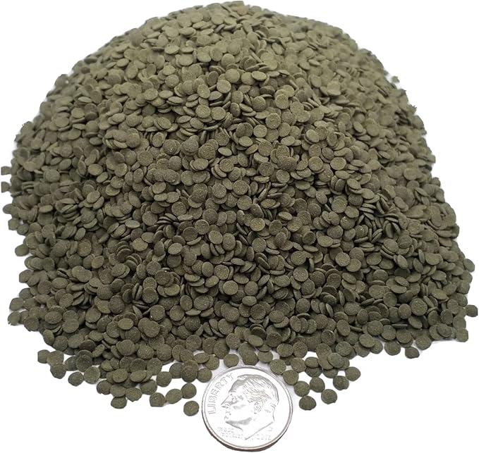 Aquatic Foods Inc. 3.5mm - 1/8" Spirulina, Algae & Veggies, Sinking Micro Wafers for Bottom Fish, Shrimp, Crabs, Crayfish, All Tropical Fish…2-lb Med Jar