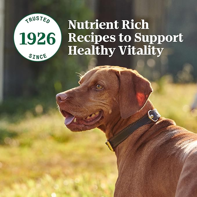 Nutro Natural Choice Cuts in Gravy Wet Dog Food, Grain Free Dog Food Wet Chicken and Turkey Recipes Variety Pack, 3.5 oz. Trays (12 Count, Pack of 2)