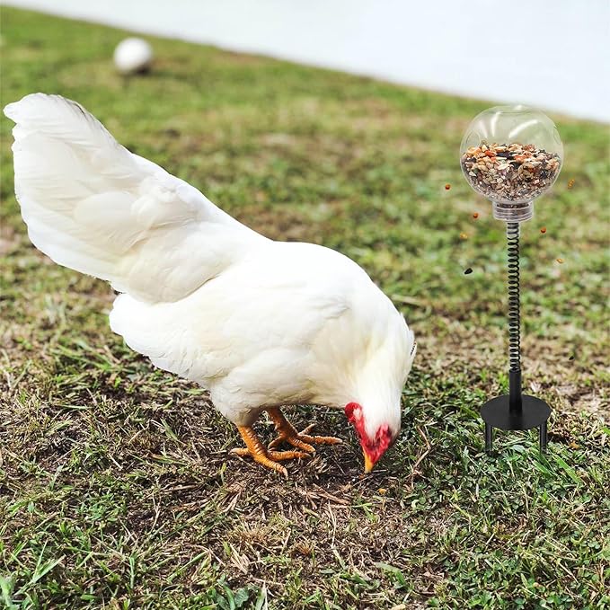 Oooct 2 Pack Chicken Peck Toy - Chicken Enrichment Toys with Swing Feeder & Slow Feeder for Hens, Ducks, Parrots