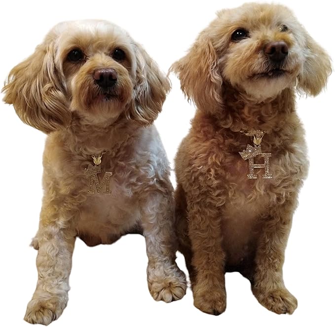 Initial Letter Cuban Chain Dog Chain Pet Chain Pet, Cat, Puppy Necklace (N, 14")