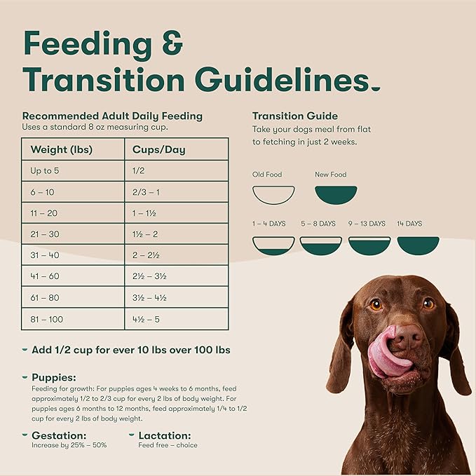 Jinx Premium Dry Dog Food, for All Lifestages - Real Chicken, Brown Rice & Sweet Potato Kibble with Superfoods for Immune Support & Probiotics for Digestive Support - No Fillers - 11.5lb