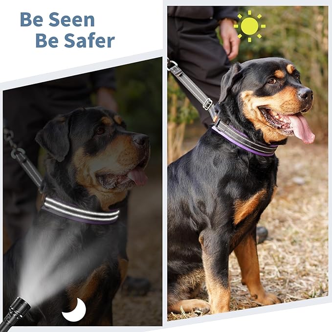 Mayerzon Martingale No Pull Collar for Medium Large Dogs, Patented Anti Pull Dog Collar with Buckle for Walking Training, with Neoprene Padding and Reflective Stitching, Adjustable(Purple Trim, M)