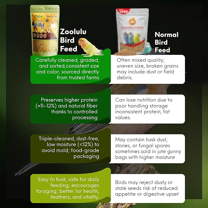 Danodia's Zoolulu Premium Budgies & Finches Millet Mix (450g /1 lbs) | Premium Bird Seed Blend for Budgies, Finches & Canaries | Daily Healthy Nutrition