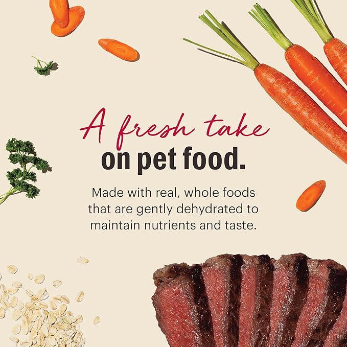 The Honest Kitchen Human Grade Wholemade™ Dehydrated Dog Food, Whole Grain Beef & Oat, 4 lb (makes 16lbs)
