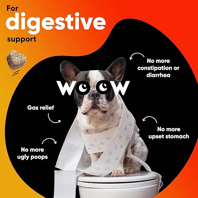Probiotics Supplements for Dogs Soft Chews (90 CT) – Digestive Support + Gut Balance & Healthy Stool Support – Probiotics + Digestive Enzymes – Duck & Pumpkin Flavor – Made in USA