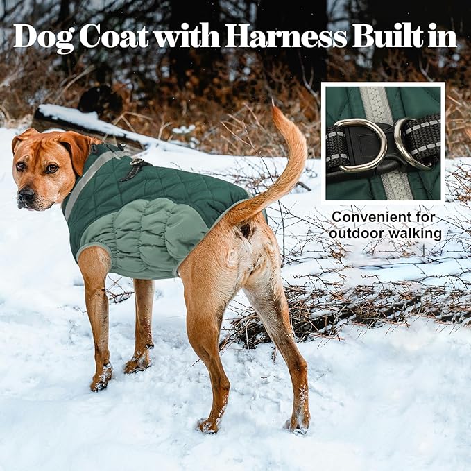 Lelepet Warm Dog Winter Coat Dog Coats for Small Dogs Waterproof Dogs Jacket with Harness Built in Reflective Cold Weather Coats Windproof Zip-Up Winter Fleece Vest Snowsuit Chihuahua Teal Green