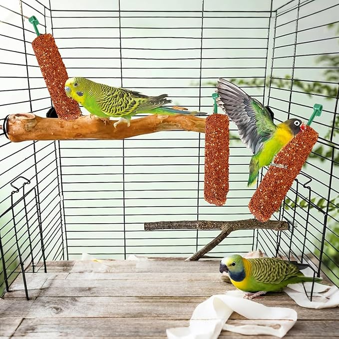 Bird Treat Stick Set, Chewing Training Reward Snacks, Multi Species Nutrition for Cockatiel Finch and Parrot, Natural Seed Blend Formula, Free Hanging Design, Healthy Enrichment Support