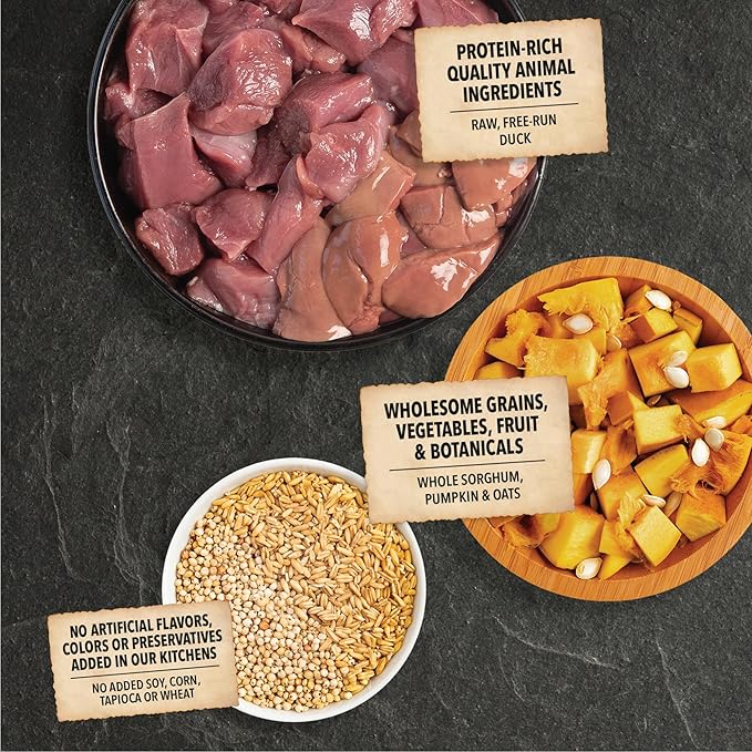 ACANA Wholesome Grains Dry Dog Food Limited Ingredient Duck & Pumpkin Recipe 4lb Bag