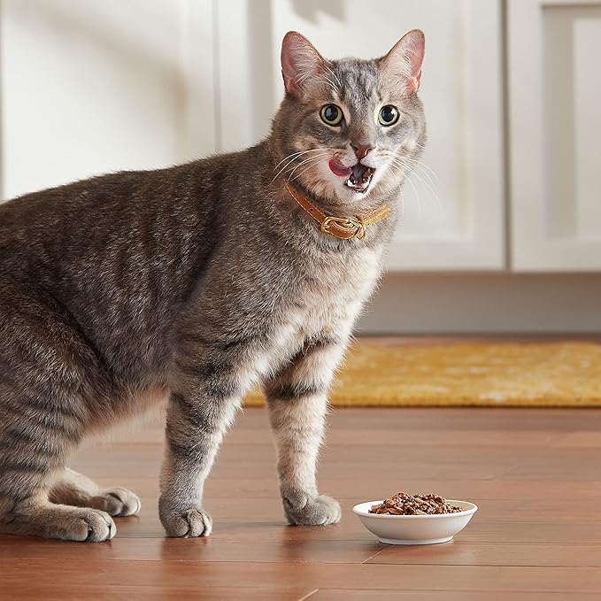 Meow Mix Chunks in Gravy Wet Cat Food, Chicken Breast, 2.75 Ounce (Pack of 12)