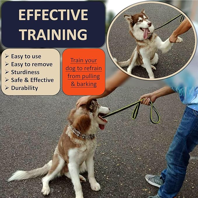 Quick Release Dog Training Collar Adjustable Stainless Steel Collar for Small Medium Large Dog (Teal, XL Neck Girth 16.9"-22.2")