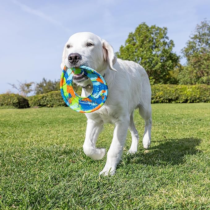 Chuckit! EcoFetch Flyer Rubber Dog Toy, Medium (8 Inch Diameter) Pack of 1, for Breeds 20-60 lbs