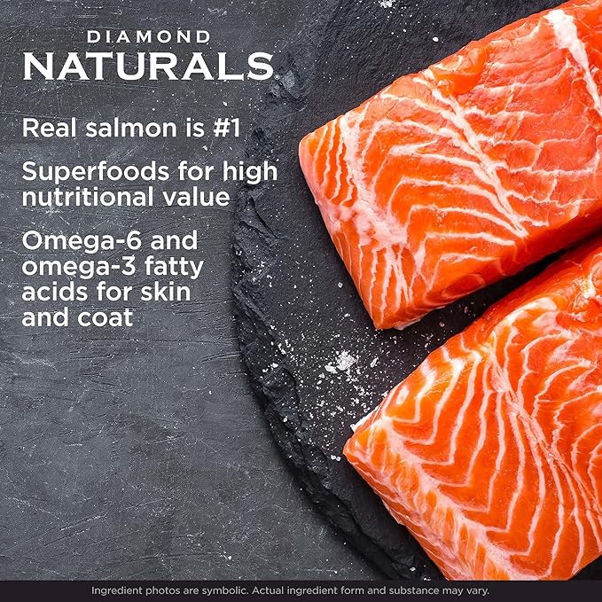 Diamond Naturals Skin & Coat Real Salmon and Potato Recipe Dry Dog Food with Protein, Superfoods, Probiotics and Essential Nutrients to Promote Healthy Skin and Coat 15lb