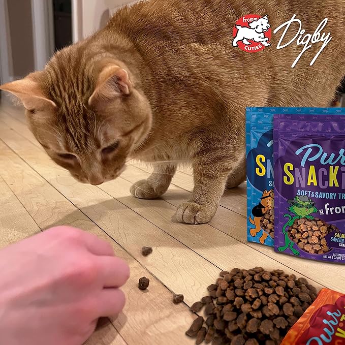 Fromm PurrSnackitty Chicken Flavor Snackitties Treats - Premium Soft & Savory Cat Treats - Pack of (3) 3 oz Bags