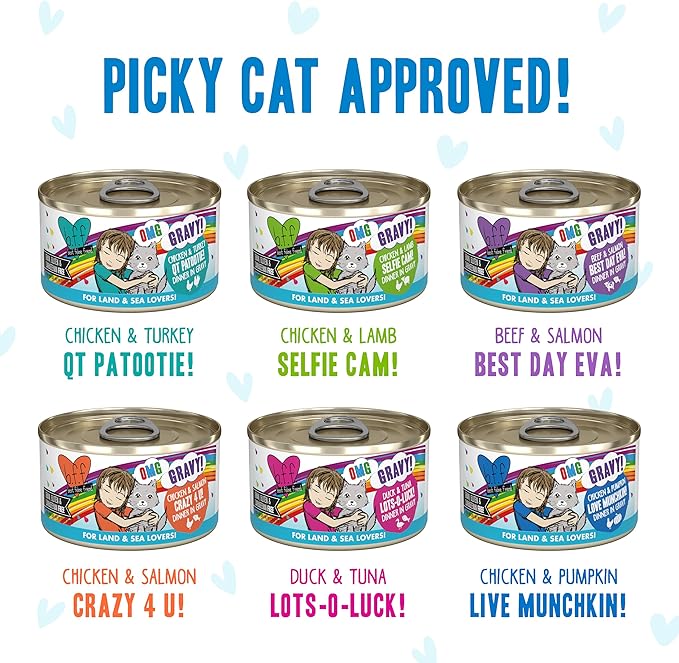 Weruva B.F.F. OMG - Best Feline Friend Oh My Gravy!,Variety Pack,Rainbow Road,Wet Cat Food by,2.8oz Can,(Pack of 24)