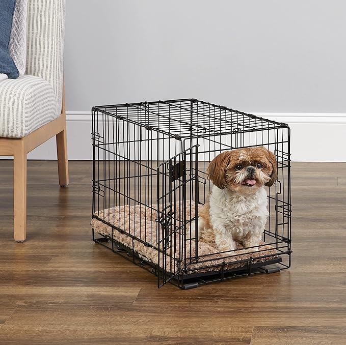 MidWest Homes for Pets 22-Inch iCrate for Extra-Small Breeds, Up to 15 lbs, Single Door Folding Dog Crate with Divider Panel, Leak-Proof Tray & Secure Latch, Portable, Durable & Easy to Assemble