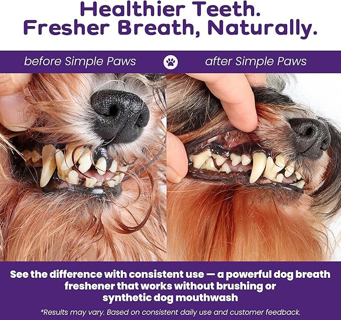 Dog Dental Powder for Teeth Cleaning - Dental Powder for Dogs Teeth – Dog Bad Breath Treatment with Probiotics for Fresh Breath & Oral Health – Chicken Flavored, 60 Scoop Supply