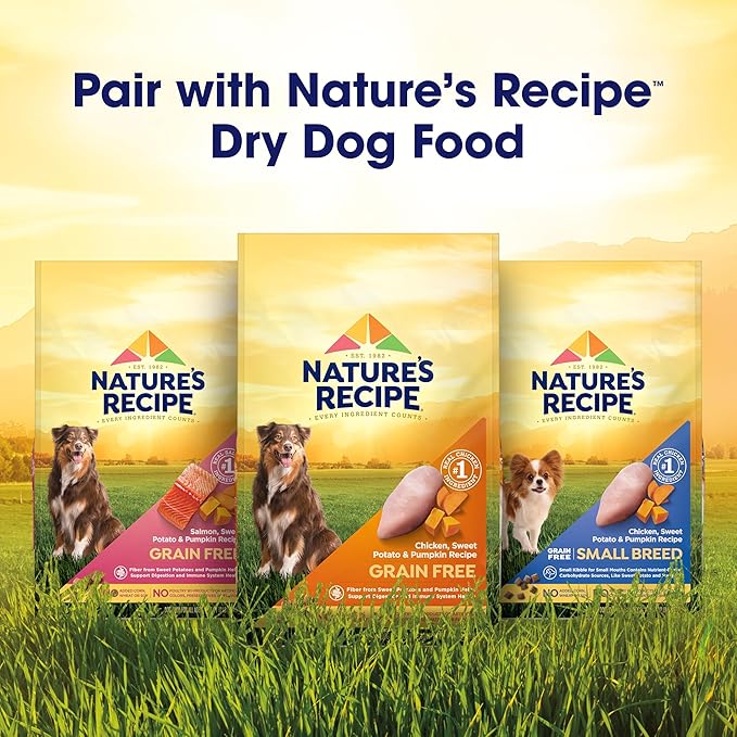Nature's Recipe Grain Free Wet Dog Food, Chicken & Turkey Recipe, 2.75 Ounce Cup (Pack of 12)